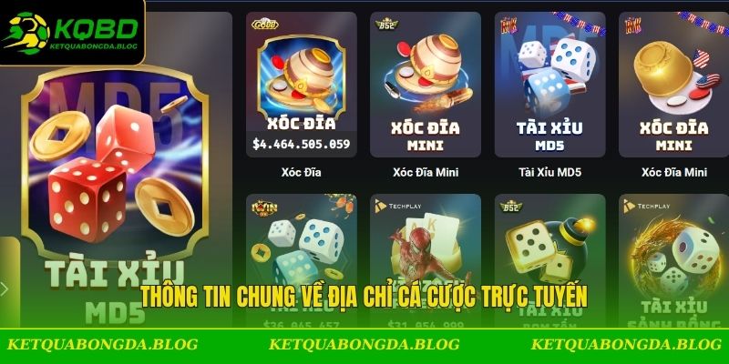 Thông tin chung về địa chỉ cá cược trực tuyến