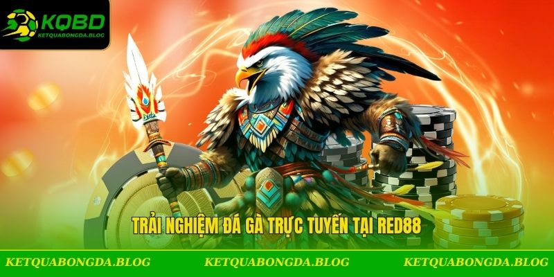 Trải nghiệm đá gà trực tuyến tại Red88