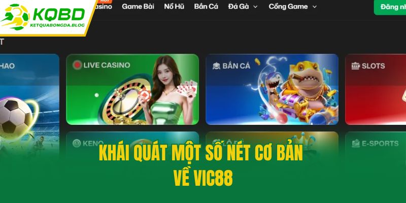 Khái quát một số nét cơ bản về Vic88