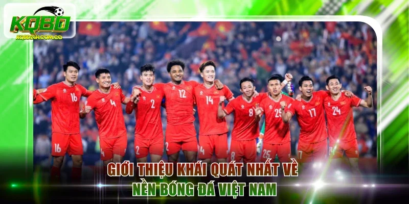 Giới thiệu khái quát nhất về nền bóng đá Việt Nam